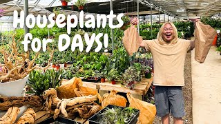 Orange County’s LARGEST Houseplant Greenhouse.