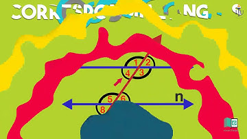 Types of angles in parallel lines | Animated Math video | elearnK12