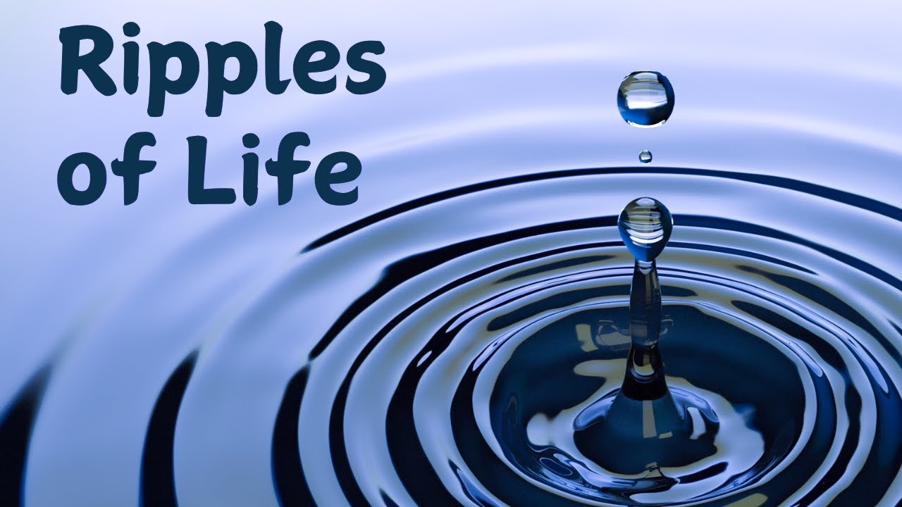 Life Ripples Ripples of Life: Episode 1 (Part 2) - Kyle Connolly - YouTube