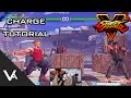 Street Fighter V / 5 - How To Use A Charge Character Tutorial