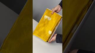 Ethereal Glow Borderless Soft Saree Priced At 1,900-