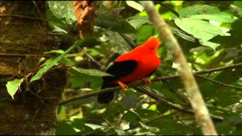 Spot Machu Picchu 100 years