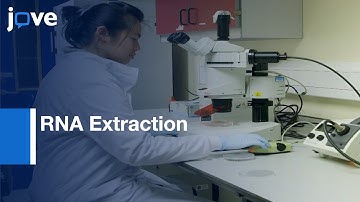 RNA Extraction of Neurons, Macrophages and Microglia from brains | Protocol Preview