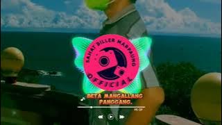 Lagu Batak Dubstep Remix- Beta Mangallang Panggang.