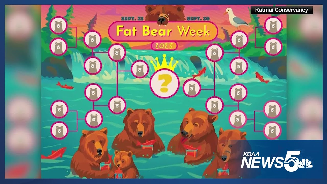 Chunk32 2025 Fat Bear Week Begins - A Look At the Competitors - YouTube