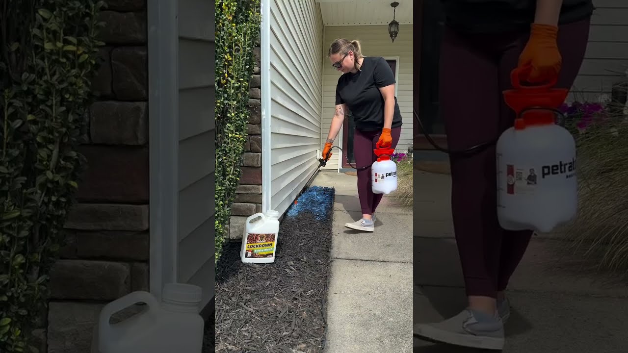 Mulch Glue Landscaping Hack That Saved My Sanity No More Messy Yard 