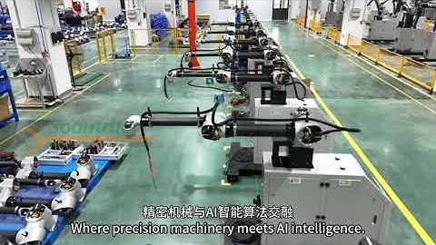 WP30 Robotic Palletizer | Exploring Soontrue’s End-of-Line Palletizing Tech