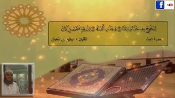 سورة النبأ : برواية ورش عن نافع || للقارئ توفيق بن شعبان