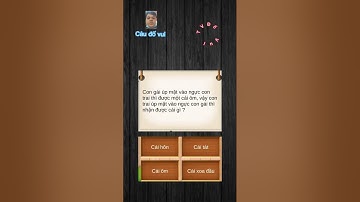 Những Câu Đố Vui - Hack Não (p7) #dovuitv #shorts
