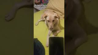 All My Brother Can Fmdo Us Just Stand There And Stare...