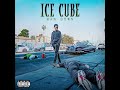 Ice Cube - No Cap