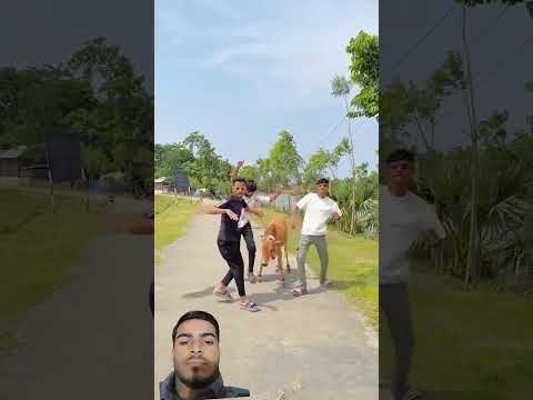 কোরবানির গরু#viralvideo #foryou #funny #banglafuny #new #tranding