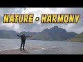 Armonia song  nature  harmony  beautiful flute music