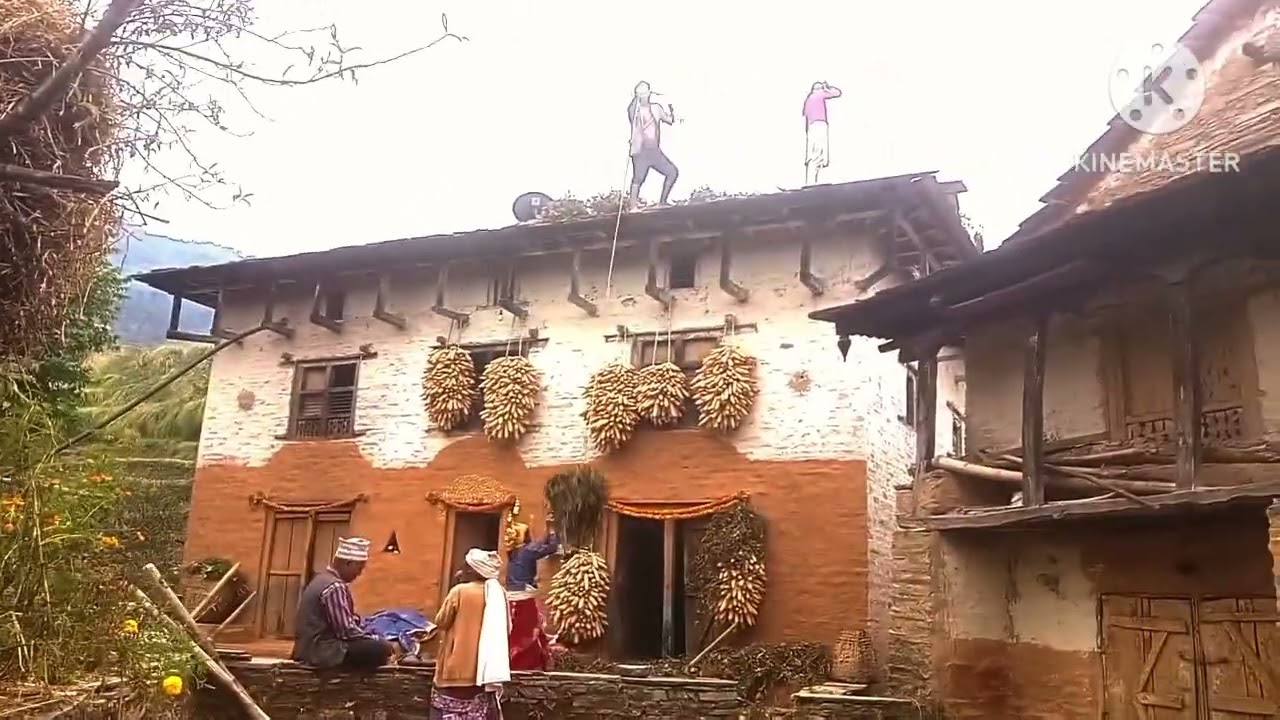 भट्ट मास घरको छ्त मा राख्दै गरेको सिस्टम  कस्तो लाग्छ ,लाई कमेन्ट सस्कराइप गरेर साथ दिनुहोला ।