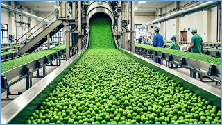 Download Lagu Inside the Canned Green Pea Factory – Processing 600 Tons a Day with Full Automation. MP3 Download Lagu Inside the Canned Green Pea Factory – Processing 600 Tons a Day with Full Automation. MP3