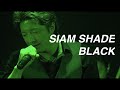 【SIAM SHADE】BLACK Covered by SIAMネコ