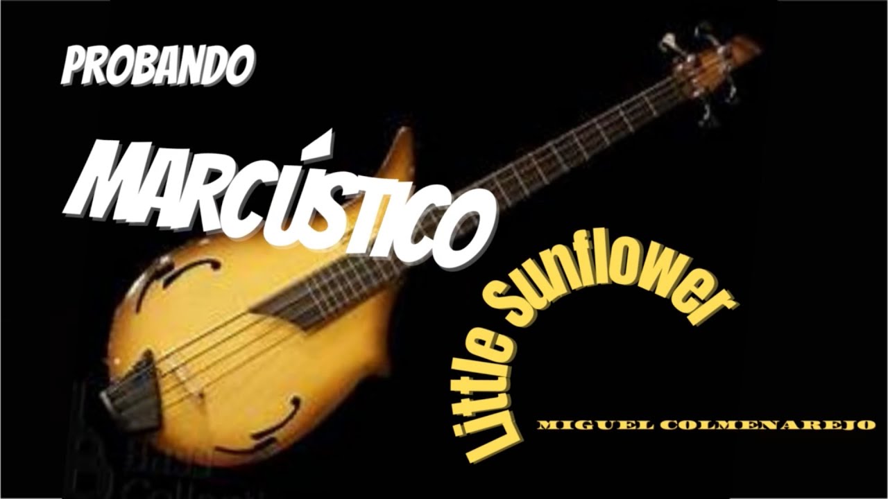 Probando Marcústico - Little Sunflower (Bass Arrangement)