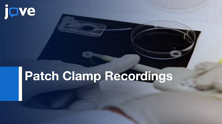 Patch Clamp Recordings from Mauthner Cells | Proto...