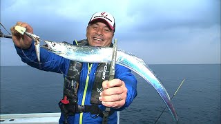 大阪湾でタチウオテンヤ_良型連発!ドラゴン級もゲット!（四季の釣り/2019年11月15日放送分）