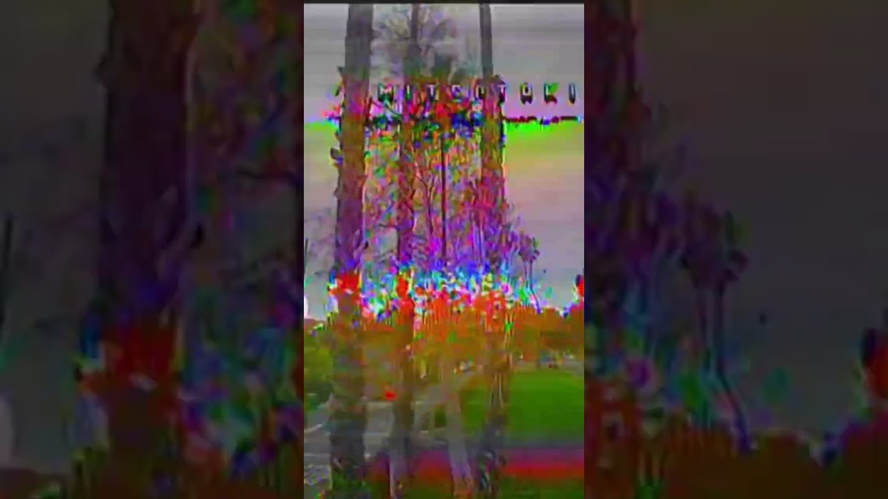 I crashed into a palm tree 🥲Flywoo Firefly, 