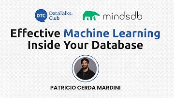Effective Machine Learning Inside Your Database - Patricio Cerda Mardini