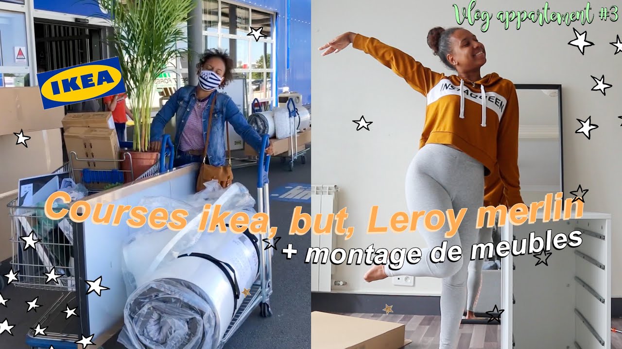 J Adopte Un Chaton Vlog D Adoption Youtube