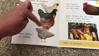 Avid Reading with Non Fiction Books