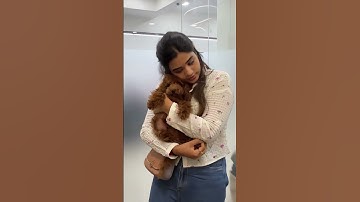 #SrinishaJayaseelan  #Srinisha  #SrinishaFans  #SrinishaSuperSinger  #SrinishaLive  #SrinishaSongs
