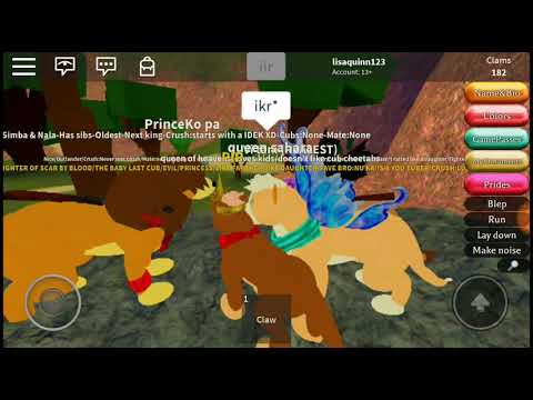 Roblox Drama And Romance On Lion Rp Youtube - robloxlion rp