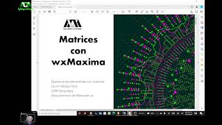 Matrices with Maxima