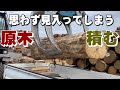 【職人技】木材グラップルで原木の積み込み【木の店さんもく】Crane Loading Wood log