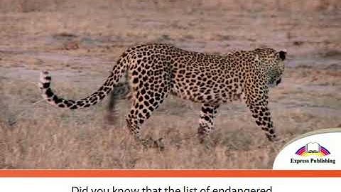 Excel 7 module 4 Endangered Species around the world