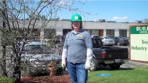 Ornamental Tree/Shrub Pruning | Tchukki Tchannel | The Tree Care Industry Association