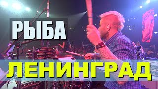 Ленинград / Рыба / Drum Cam