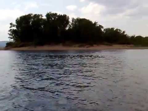 Остров телячий