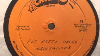 Watch Meditations Fly Natty Dread video