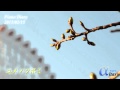 【αltas】Piano Diary　～ユメノツボミ～　2015/02/15【ピアノオリジナル】