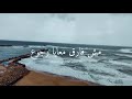 حالة واتس اغنيه بقول عادي تامر عاشور 2021 حالة واتس اغنيه بقول عادي تامر عاشور 2021