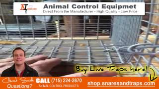 How to catch raccoons | Humane Traps