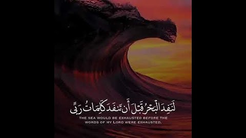 تلاوه خاشعه//بصوت القارئ ياسر الدوسري//حالات واتس اب دينيه❤❤.