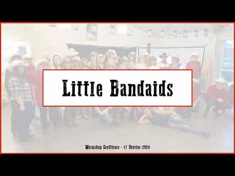LITTLE BANDAIDS