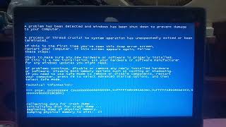 Shopee Pi Pi Pi Has Bsod
