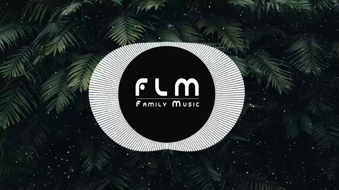 Sean Paul - Get Busy (Wade Ross Remix) electronics