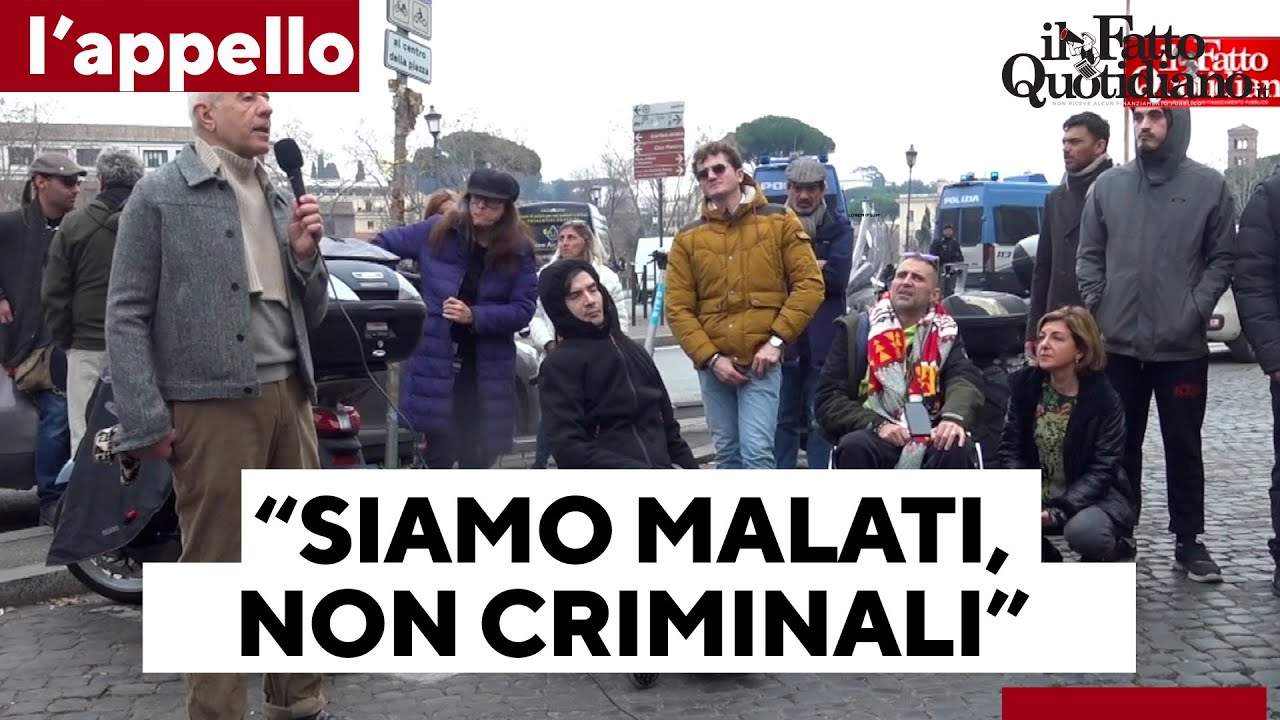 Cannabis terapeutica, l'appello: 