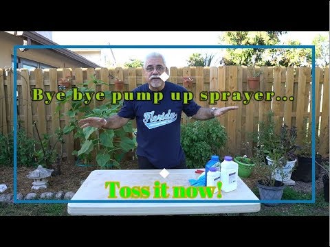 Spraying Your Fruit
