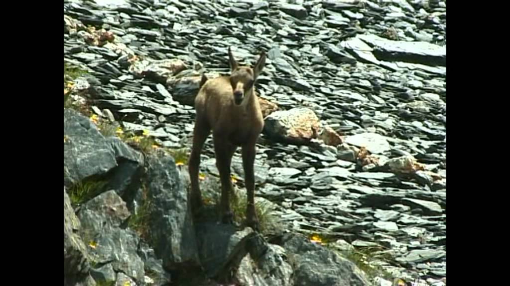 montagne  Ticino  La  Greina