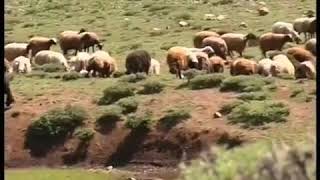 Sidar Beritan Uzun Hava