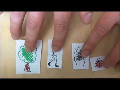 Video: Perché l'evidenza entomologica è importante?