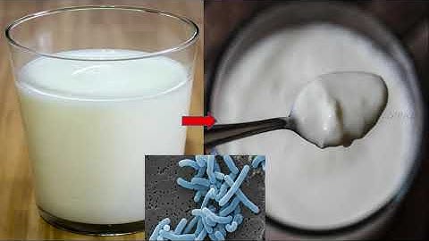 Bridge Course - Science - 8th - Day 18