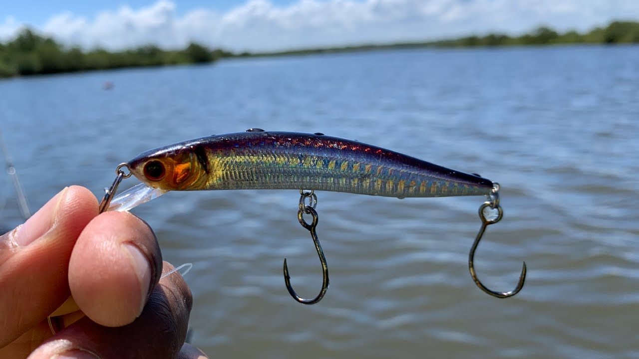 Matrix Ripshad Rusty Mullet  Is it a Top Saltwater Lure? 